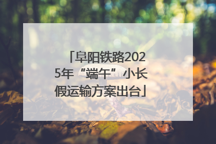 阜阳铁路2025年“端午”小长假运输方案出台
