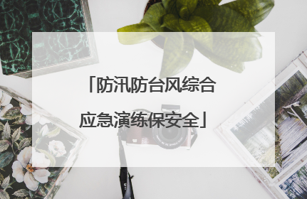 防汛防台风综合应急演练保安全