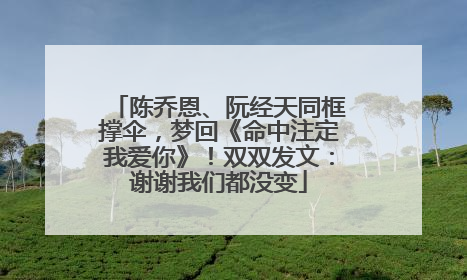 陈乔恩、阮经天同框撑伞，梦回《命中注定我爱你》！双双发文：谢谢我们都没变