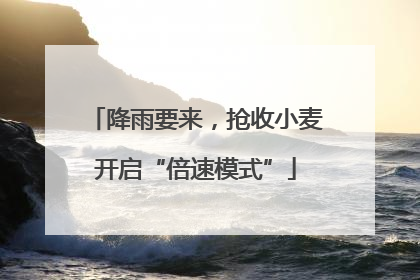 降雨要来，抢收小麦开启“倍速模式”