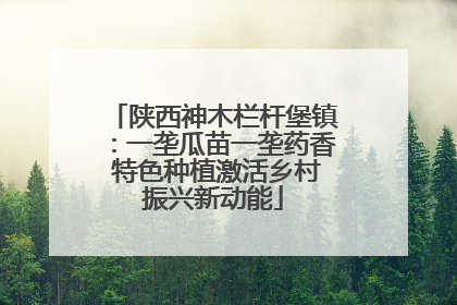 陕西神木栏杆堡镇：一垄瓜苗一垄药香 特色种植激活乡村振兴新动能