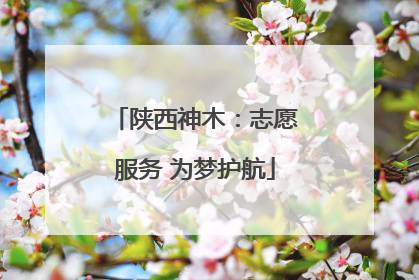 陕西神木：志愿服务 为梦护航