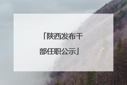 陕西发布干部任职公示