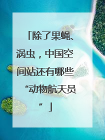 除了果蝇、涡虫，中国空间站还有哪些“动物航天员”