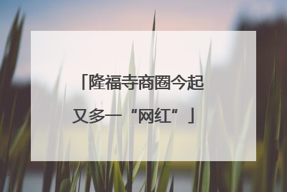 隆福寺商圈今起又多一“网红”