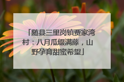 随县三里岗镇贾家湾村：八月瓜缀满藤，山野孕育甜蜜希望