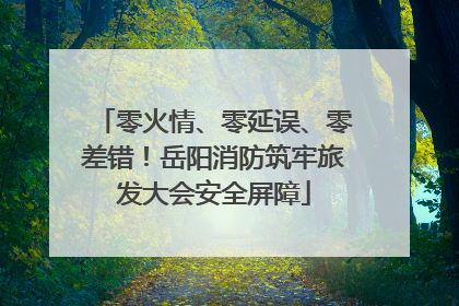 零火情、零延误、零差错！岳阳消防筑牢旅发大会安全屏障