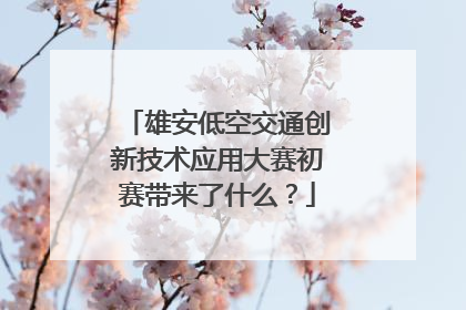 雄安低空交通创新技术应用大赛初赛带来了什么？