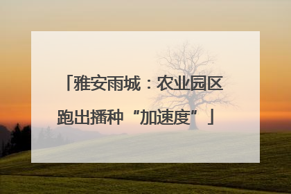 雅安雨城：农业园区跑出播种“加速度”