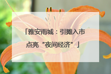 雅安雨城：引摊入市 点亮“夜间经济”