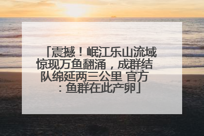 震撼！岷江乐山流域惊现万鱼翻涌，成群结队绵延两三公里 官方：鱼群在此产卵