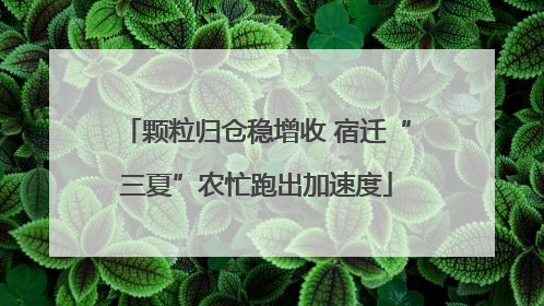 颗粒归仓稳增收 宿迁“三夏”农忙跑出加速度