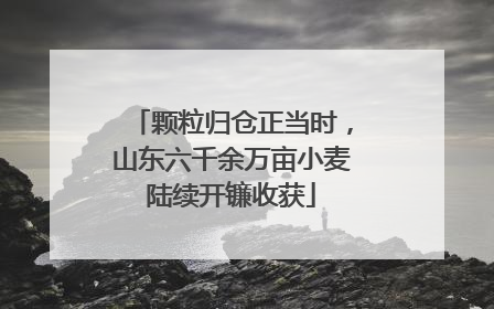 颗粒归仓正当时，山东六千余万亩小麦陆续开镰收获
