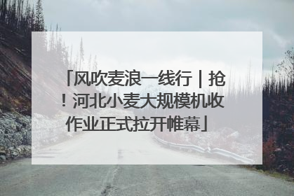 风吹麦浪一线行｜抢！河北小麦大规模机收作业正式拉开帷幕