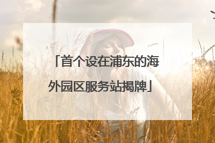 首个设在浦东的海外园区服务站揭牌