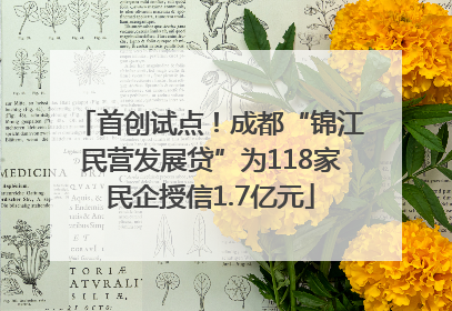 首创试点！成都“锦江民营发展贷”为118家民企授信1.7亿元