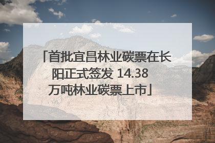 首批宜昌林业碳票在长阳正式签发 14.38万吨林业碳票上市