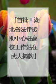 首批！湖北省法律援助中心驻高校工作站在武大揭牌