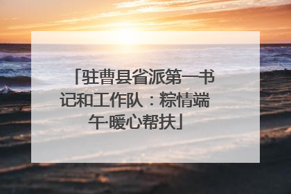 驻曹县省派第一书记和工作队：粽情端午·暖心帮扶