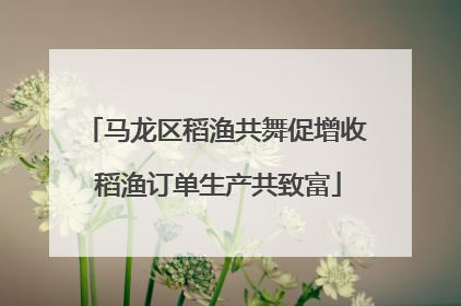 马龙区稻渔共舞促增收 稻渔订单生产共致富
