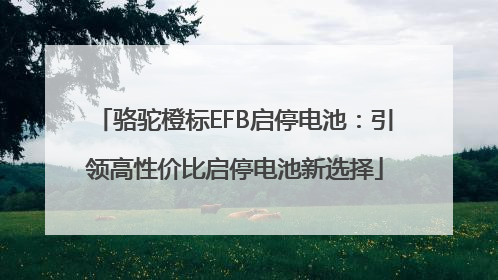 骆驼橙标EFB启停电池：引领高性价比启停电池新选择
