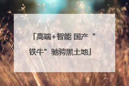 高端+智能 国产“铁牛”驰骋黑土地