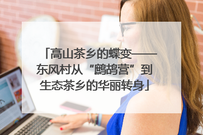 高山茶乡的蝶变——东风村从“鹧鸪营”到生态茶乡的华丽转身