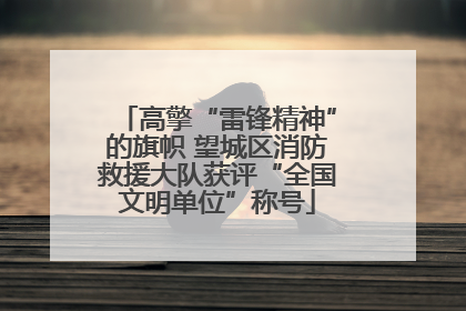 高擎“雷锋精神”的旗帜 望城区消防救援大队获评“全国文明单位”称号