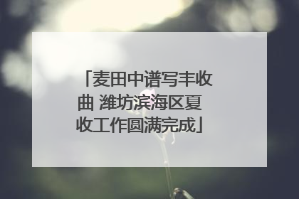 麦田中谱写丰收曲 潍坊滨海区夏收工作圆满完成
