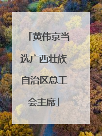 黄伟京当选广西壮族自治区总工会主席