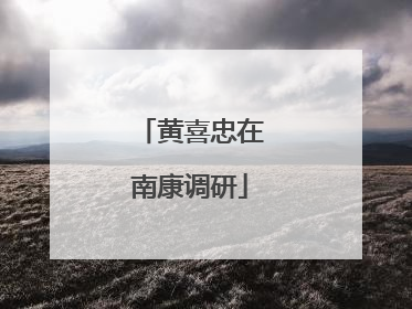 黄喜忠在南康调研