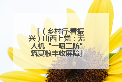 （乡村行·看振兴）山西上党：无人机“一喷三防”筑夏粮丰收屏障