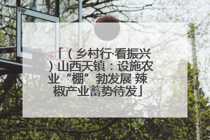 （乡村行·看振兴）山西天镇：设施农业“棚”勃发展 辣椒产业蓄势待发