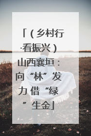（乡村行·看振兴）山西襄垣：向“林”发力 借“绿”生金