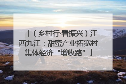 （乡村行·看振兴）江西九江：甜蜜产业拓宽村集体经济“增收路”