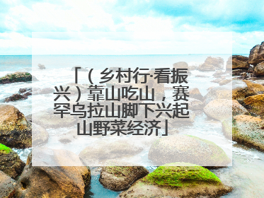 （乡村行·看振兴）靠山吃山，赛罕乌拉山脚下兴起山野菜经济