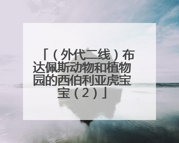 （外代二线）布达佩斯动物和植物园的西伯利亚虎宝宝（2）