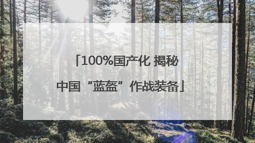 100%国产化 揭秘中国“蓝盔”作战装备