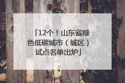 12个！山东省绿色低碳城市（城区）试点名单出炉