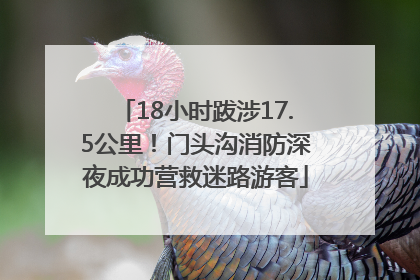 18小时跋涉17.5公里！门头沟消防深夜成功营救迷路游客