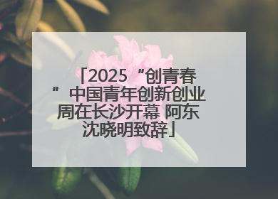 2025“创青春”中国青年创新创业周在长沙开幕 阿东沈晓明致辞