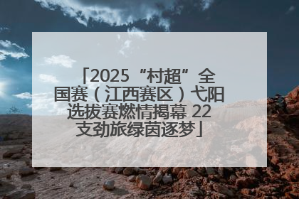 2025“村超”全国赛（江西赛区）弋阳选拔赛燃情揭幕 22支劲旅绿茵逐梦