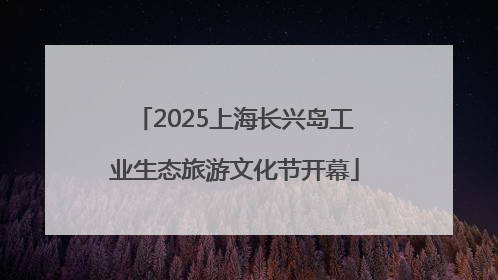 2025上海长兴岛工业生态旅游文化节开幕