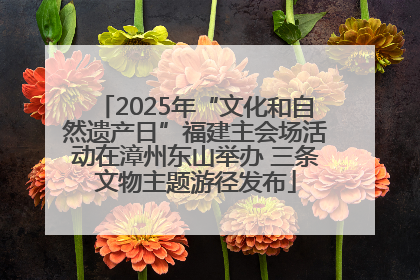 2025年“文化和自然遗产日”福建主会场活动在漳州东山举办 三条文物主题游径发布