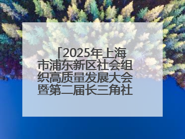 2025年上海市浦东新区社会组织高质量发展大会暨第二届长三角社会组织高质量发展峰会成功举办