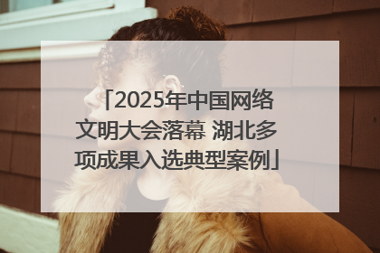 2025年中国网络文明大会落幕 湖北多项成果入选典型案例