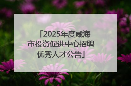 2025年度威海市投资促进中心招聘优秀人才公告