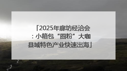 2025年廊坊经洽会：小箱包“圈粉”大咖 县域特色产业快速出海