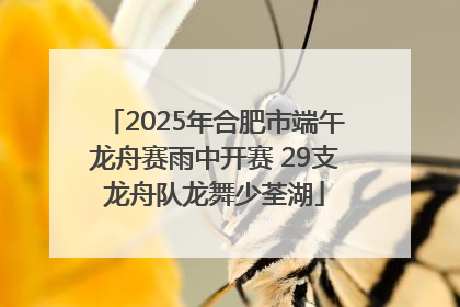2025年合肥市端午龙舟赛雨中开赛 29支龙舟队龙舞少荃湖
