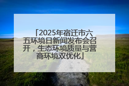 2025年宿迁市六五环境日新闻发布会召开，生态环境质量与营商环境双优化
